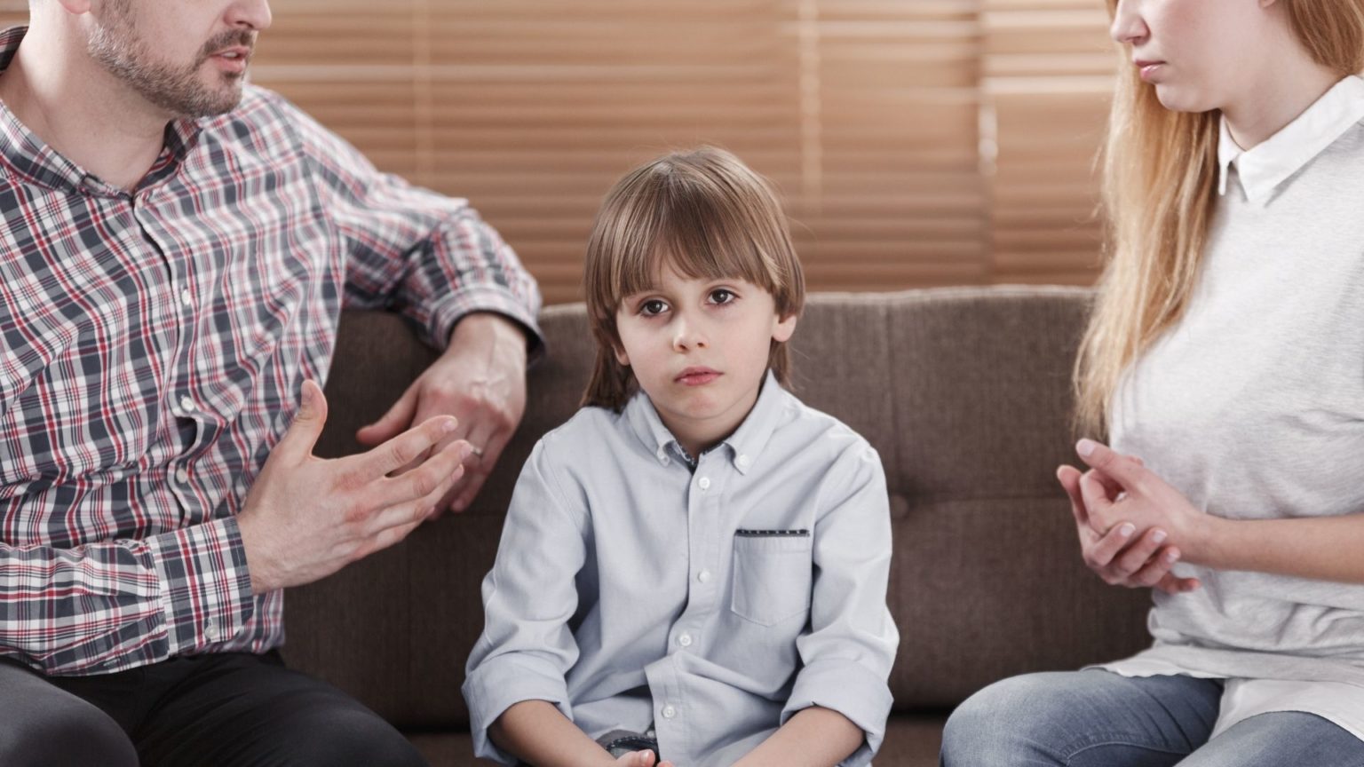 FAQ Child Custody & Relocation Cases / What is "detriment?" Purcell